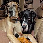 Sharing