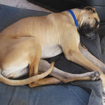 First day in the studio